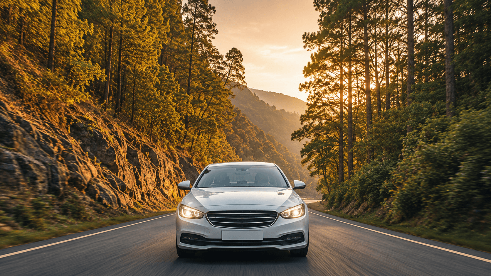 Luxury sedan driving through a dense pine forest road at dusk